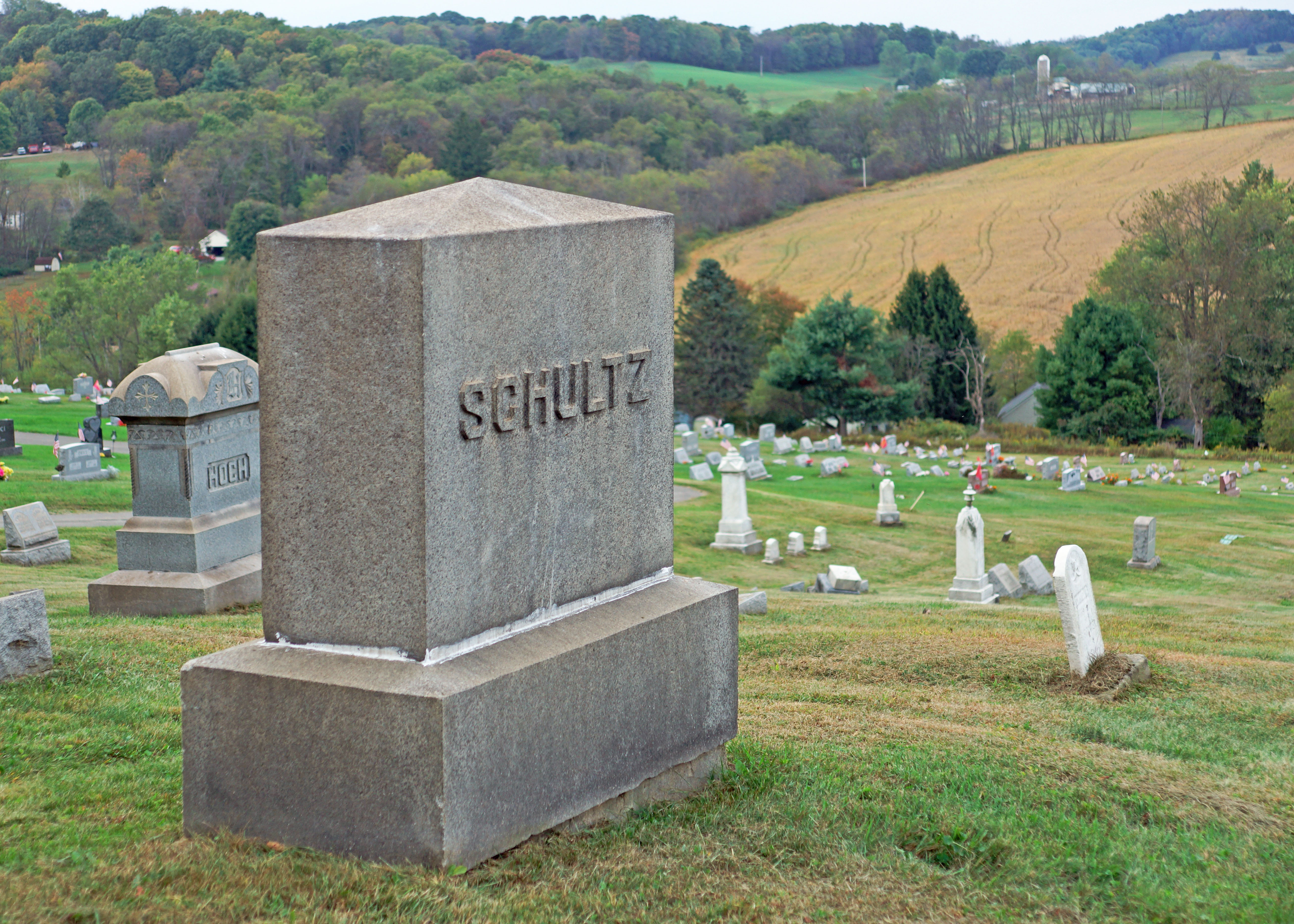 SchultzFamilyStone
